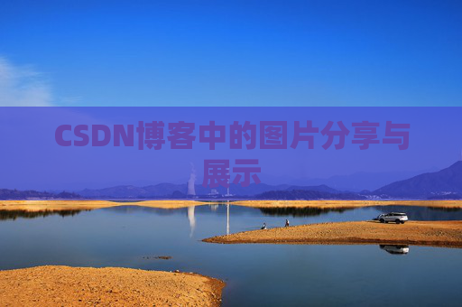CSDN博客中的图片分享与展示